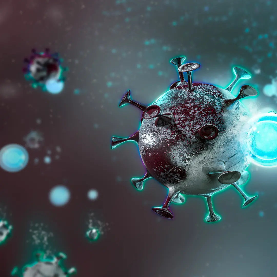 Peptide für Regeneration und Immunsystem